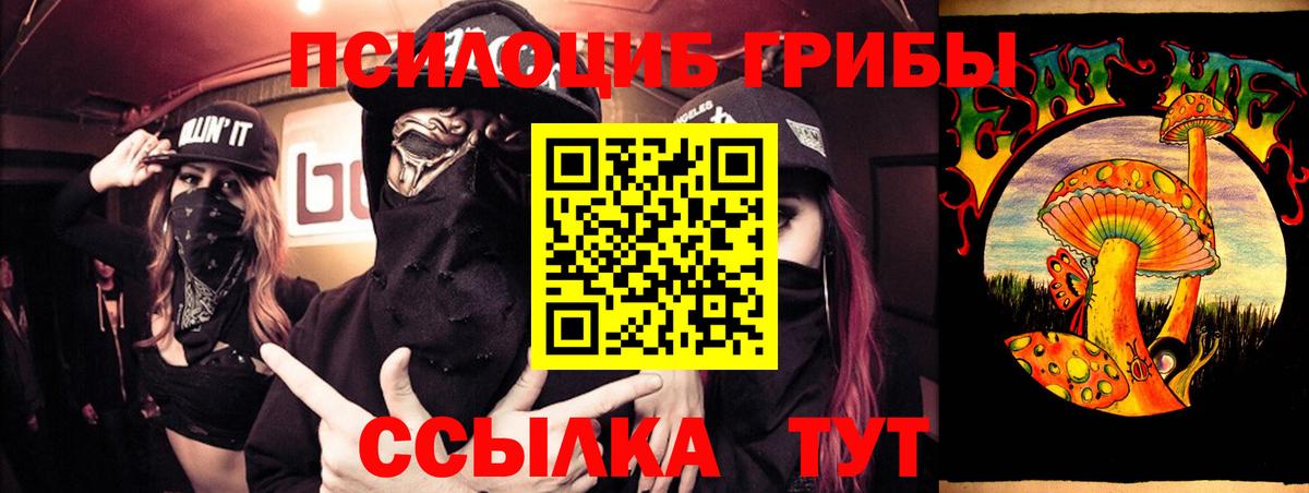 Нефтекамск  Псилоцибиновые грибы Psilocybe  Вход с VPN 
